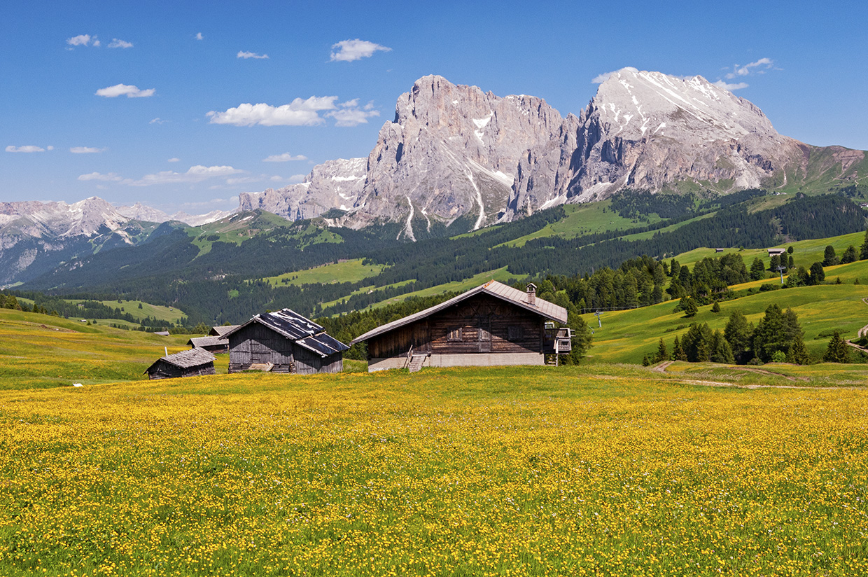 places that surprised me