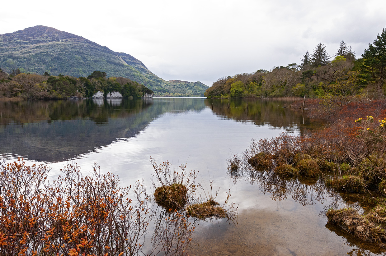 Killarney National Park, County Kerry, Ireland