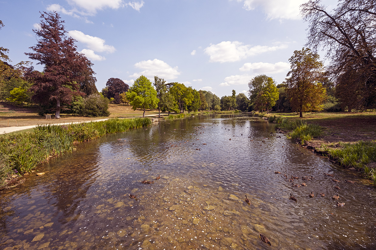 Blenheim Palace grounds