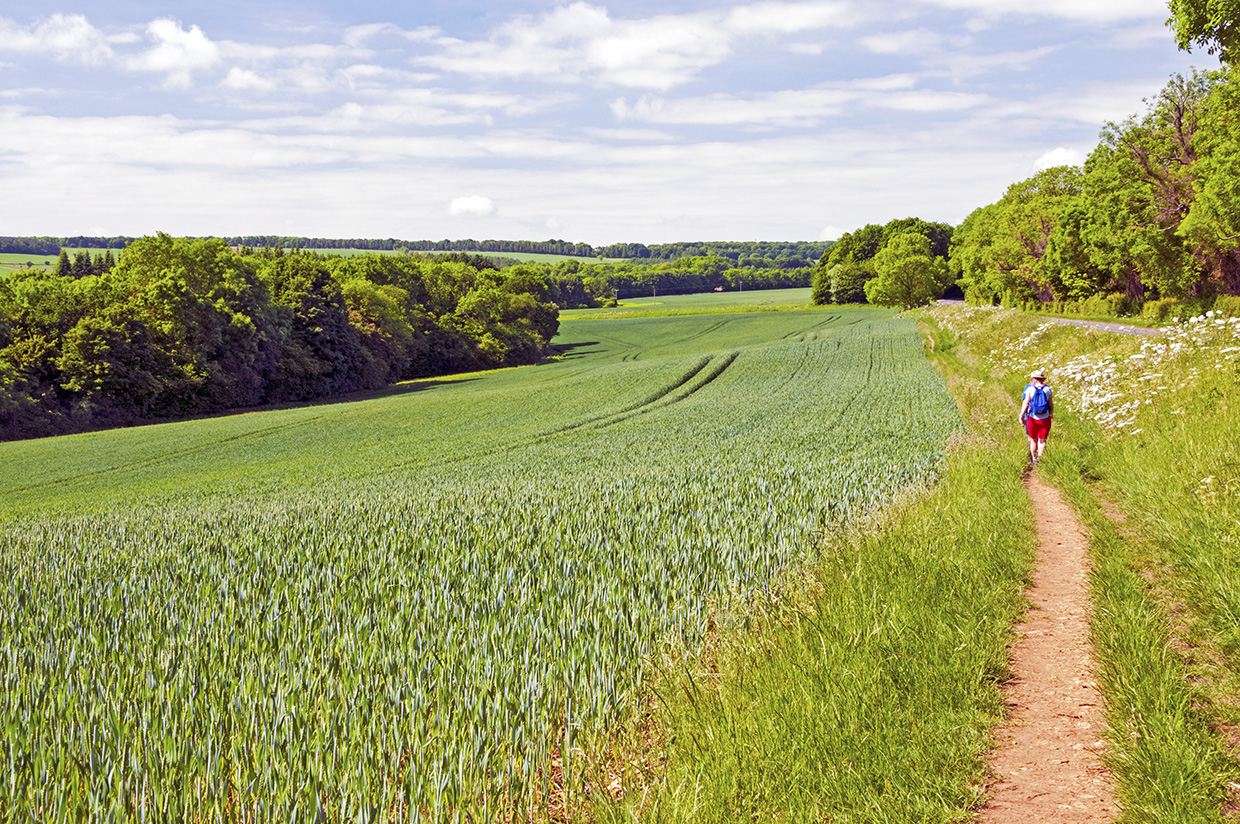 tips for long-distance hiking