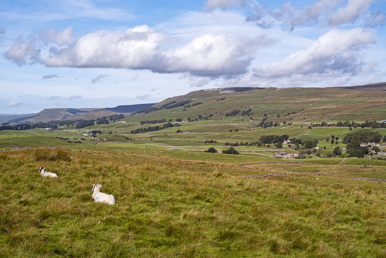 2025 England 2949 things to do in the Yorkshire Dales