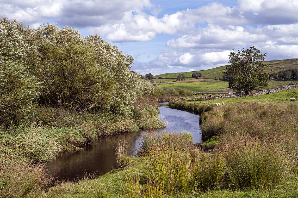 2025 England 3080 things to do in the Yorkshire Dales