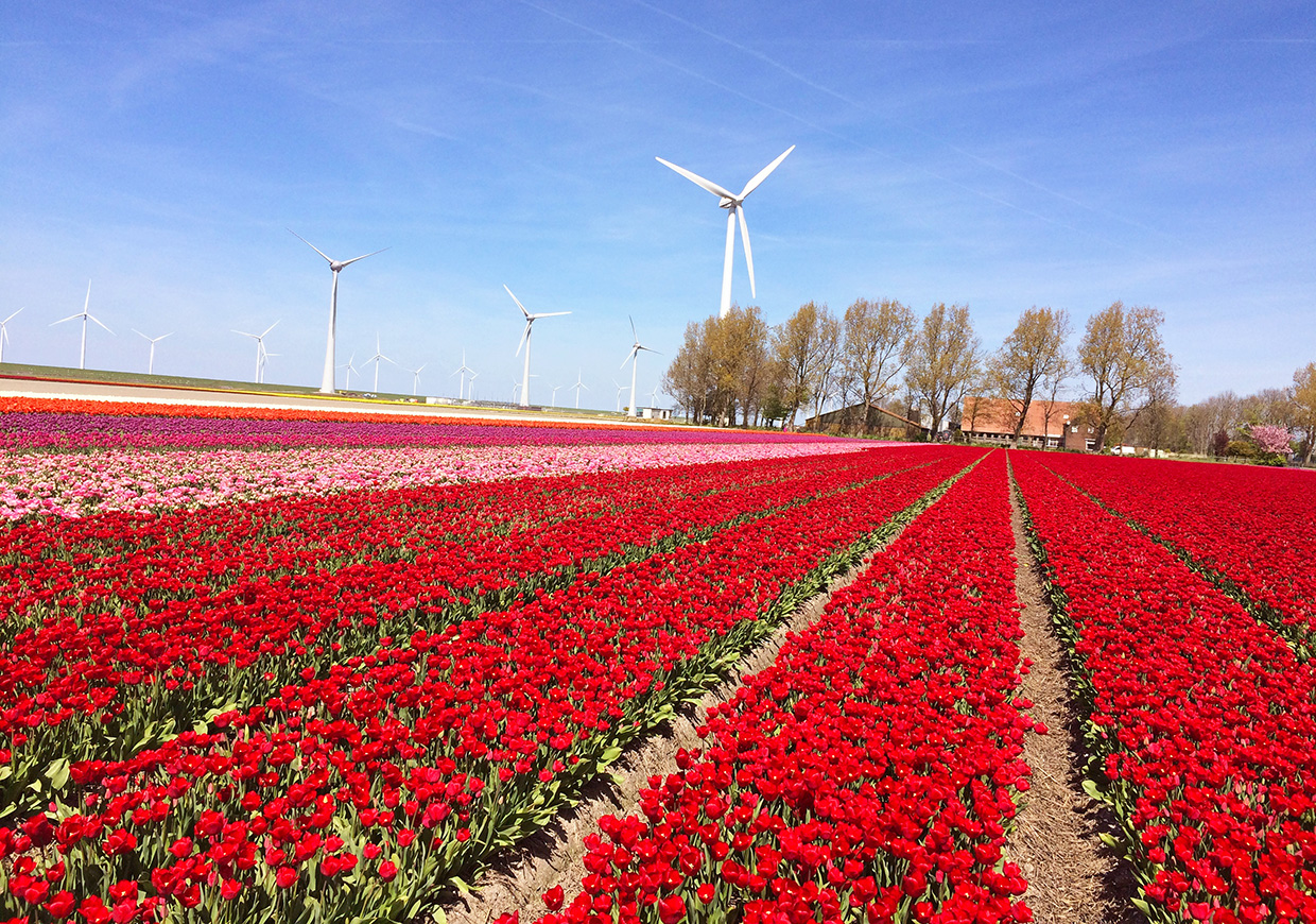 Netherlands hidden gems