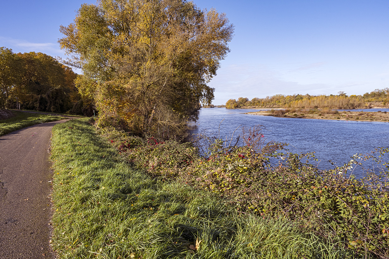 Loire River near Amboise Loire River near Amboise