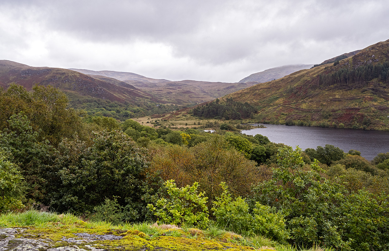 Galloway Forest Park, Scotland Galloway Forest Park, Scotland