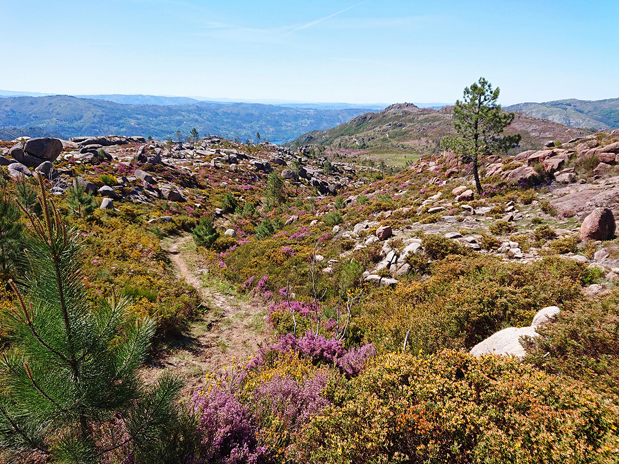 Trail_in_Peneda-Gerês Pexels Fascinating Portugal