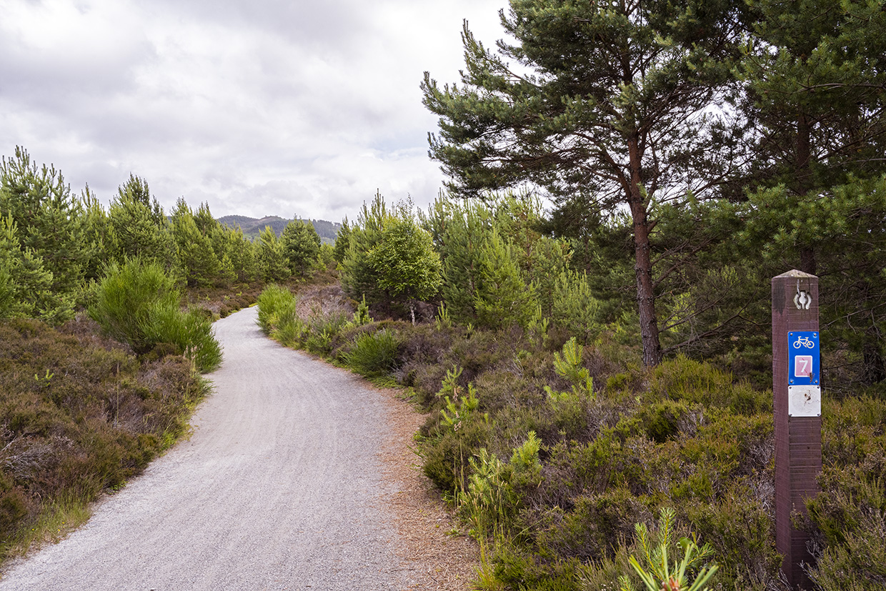Scotland trail near Aviemore Things I Wish More Travelers Knew About Europe