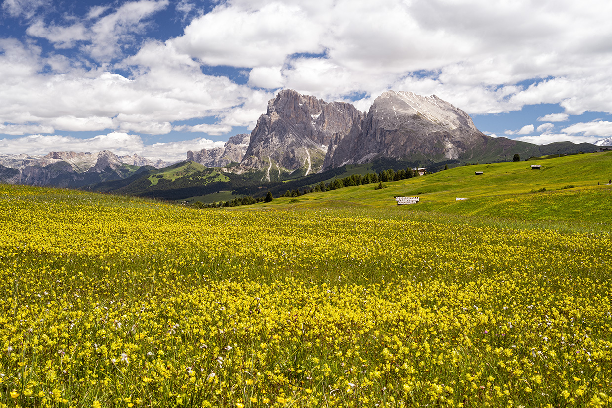 Alpe di Siusi Italy Dolomites of Alpe di Siusi, Italy.