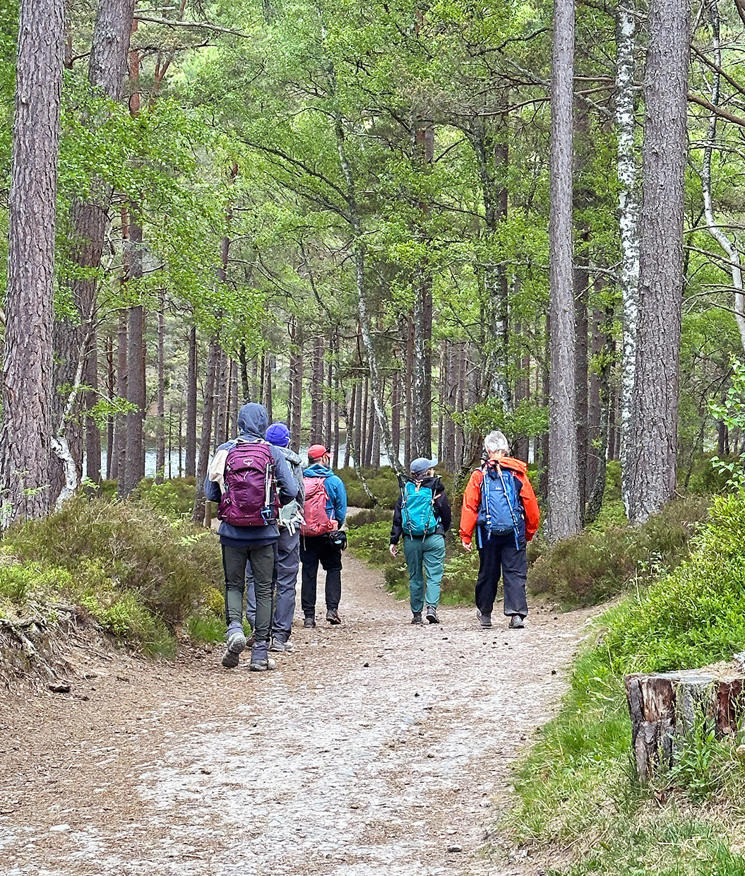 Why Independent Travelers Will Love Small Group Travel