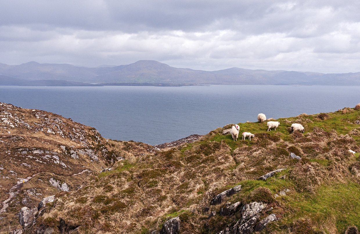 Sheep's Head, West Cork, Ireland Sheep's Head, West Cork, Ireland