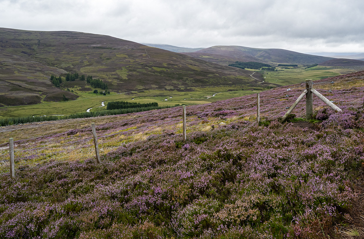 Cairngorms National Park near Corgarff Cairngorms National Park near Corgarff