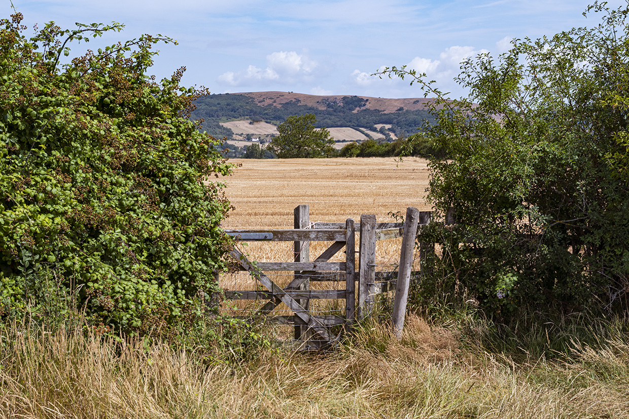 Near Axbridge, England house sitting in England