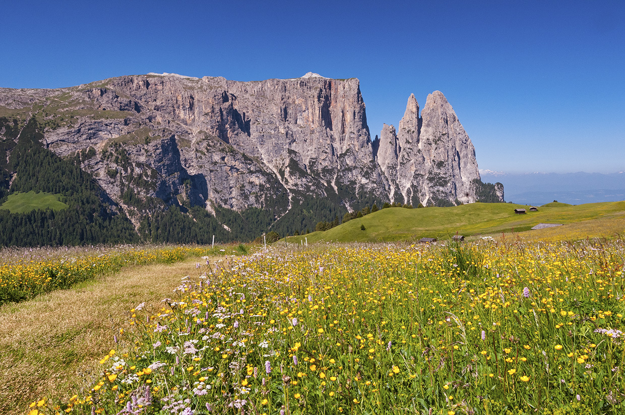 Alpe di Siusi in summer. Places in Europe I’d Return