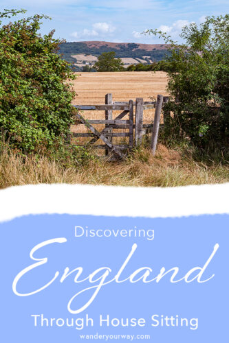 House Sitting 3 house sitting in England